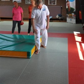 DSC 0151  Medium - Judoclub Zaventem 